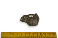 F 00248
<br/>
<br/>
<em></em>